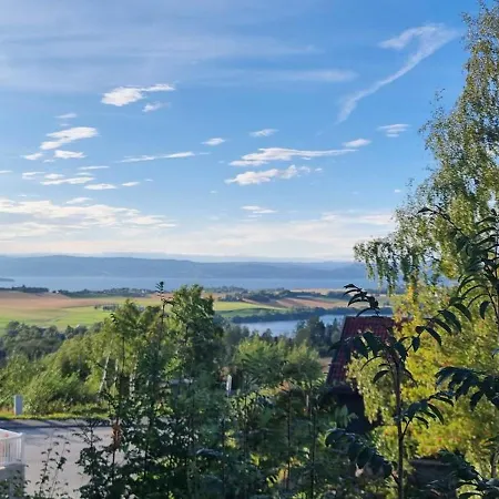 Blueberry Road * Levanger