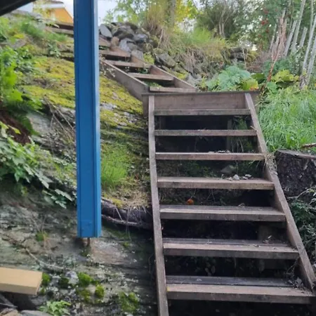 Blueberry Road Levanger