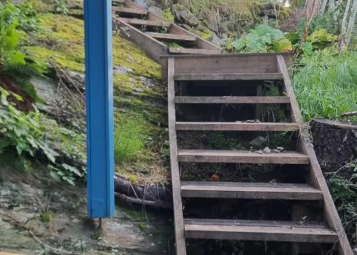 Blueberry Road Левангер